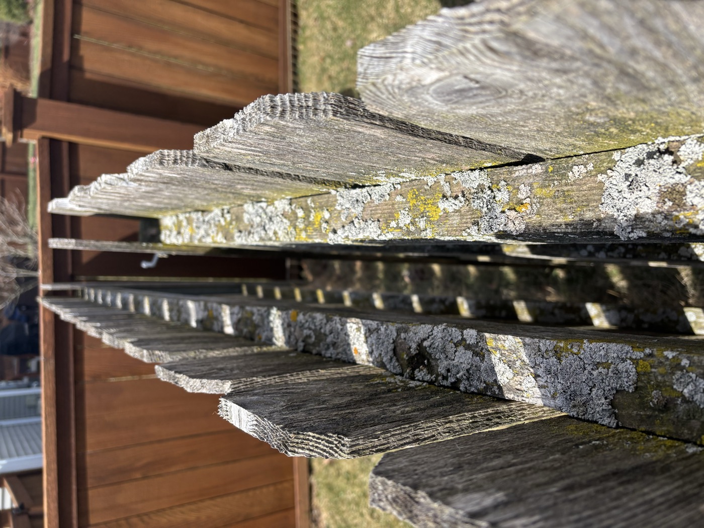Weathered wood close-up before restoration treatment