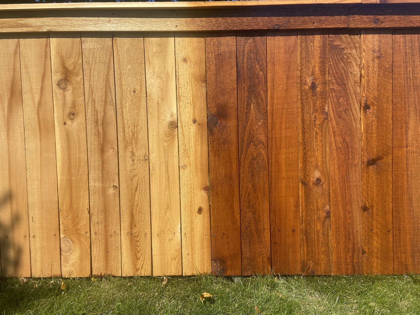 Fence staining close-up — unstained boards left, freshly stained right