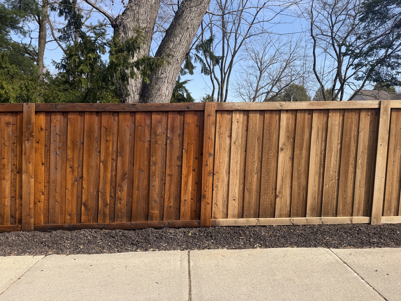 Cedar fence staining transformation — rich warm brown